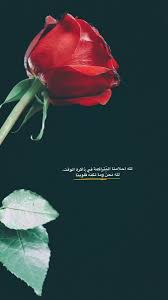 Pin On Funny Arabic Quotes