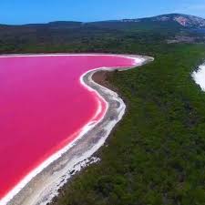 Tumblr Australia Travel Beautiful Places Cool Places To Visit Lake Hillier