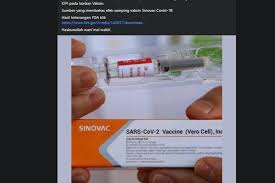 Untuk hasil evaluasi uji klinis fase 3 terhadap khasiat dan efikasinya, cukup berbeda dengan di. Kabar Viral Kandungan Dalam Vaksin Sinovac Benarkah Tidak Halal Halaman All Kompas Com