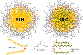 We cater to both the public and private sectors. Frontiers Solid Lipid Nanoparticles For Drug Delivery Pharmacological And Biopharmaceutical Aspects Molecular Biosciences