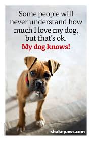 Dp Petite Black Roll Sleeve Shirt Dogs Dog Quotes Boxer Dogs