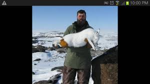 Arctic hare museum quality giclee print is a reproduction of an original gouache painting by jamie l. Nz Hunting And Shooting Forums