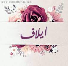 يضمshahid أفضل المسلسلات، البرامج، الحلقات والكليبات. Ø§ÙŠÙ„Ø§Ù ØµÙˆØ± ØªØµÙ…ÙŠÙ…Ø§Øª Ø¨Ø±ÙˆÙØ§ÙŠÙ„ ÙˆØµÙˆØ± Ø´Ø®ØµÙŠØ© Ù„Ù„Ø­Ø³Ø§Ø¨ ÙˆÙƒØ±ÙˆØª ÙˆØ¨Ø·Ø§Ù‚Ø§Øª Ù„Ù„Ù…Ù†Ø§Ø³Ø¨Ø§Øª Ø¨Ø§Ø³Ù…Ùƒ 2021