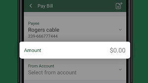 Compare internet plan pricing and speeds from dsl. How To Make Mobile Bill Payments On Td App Td Canada Trust