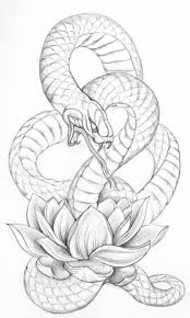 Black And White Snake Tattoo Drawing 21 Realistic Snake Tattoo Drawing Ideas In 2020 Snake Drawing Snake Tattoo Design Tattoo Drawings