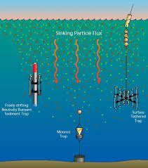 Animal trapping, or simply trapping, is the use of a device to remotely catch an animal. Sediment Trap Woods Hole Oceanographic Institution