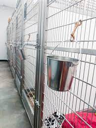 Maybe you would like to learn more about one of these? Every Single Dog From A Kansas City Shelter Found A Home Thanks To Super Bowl Star S Promise To Pay Fees Cnn