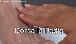 The clavicle is also called the collarbone. Pulse Points Nursing Assessment