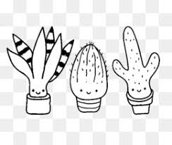 Busque cualquier cosa sobre dibujo en esta web. Dibujo Para Colorear Libro Cactaceae Kleurplaat Cactus En Blanco Y Negrodescargar Libre 1000 1000 27 54 Kb Imagen Png Imagen Transparente Descarga Gratuita