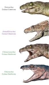 Some Ancient Crocodile Species Were Herbivores Earth Com