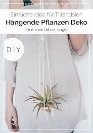 Diy Hangende Pflanzen Deko Mit Tillandsien Selber Machen Yeah Handmade Pflanzen Selber Machen Holz Hangende Pflanzen