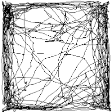 We did not find results for: Http Www Gpneuro Uni Goettingen De Download Nl 6 May2019 Pdf