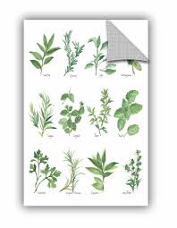 Vendramin Herb Chart Wall Decal