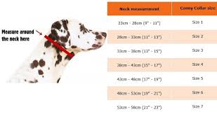 Details About Canny Collar Dog Head Collar Halter Gentle No Pull Dog Collar Size 2 Black