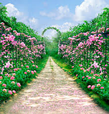 Tevens zijn wij de berkat specialist. Unduh 46 Background Taman Hd Terbaru Download Background