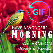 Now you can customise the greetings in your own way to make your loved ones feel special. Amazon Com Good Morning Afternoon Evening Goodnight Gif Appstore For Android
