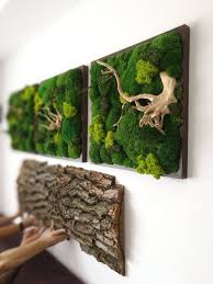 Wartung Frei Moos Kunst Mit Geist Baum Etsy Les Jardins Negatif Sont Marche Seulement A En 2020 Graffiti En Mousse Plantes De Decor De Maison Peinture De Mousse