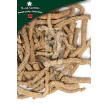 Image result for Polygala schinziana