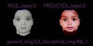 Selective variance based kinship verification in parent's childhood  and their children