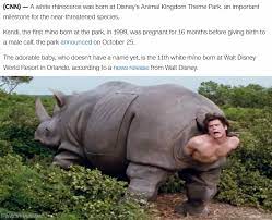 The Mother Rhino Is Giving Birth Memes