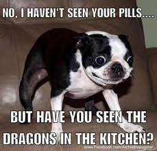 50 Hilarious And Relatable Dog Memes For National Dog Day Funny Animal Jokes Funny Dog Memes Funny Animal Quotes