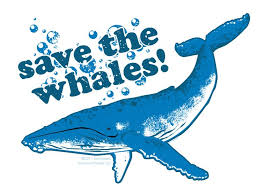 Image result for save the whales