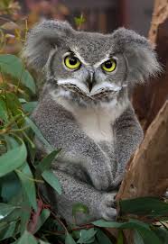 Photoshopped animals hybrid art animal mashups funny animals cute animals digital art photography funny photoshop creature feature magical creatures. 49 Strange Animal Hybrids Bred In Photoshop Bored Panda