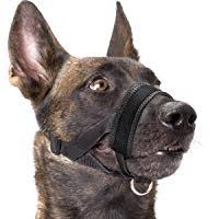 6 Best Muzzles For German Shepherds