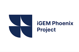 Whether you're addicted to the bachelor or keeping up with the kardashians, you just can't seem to get enough of the guiltiest of guiltiest pleas. News Igem Org