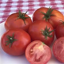 Plant in the right place. Tomato Varieties For Cooler Climates