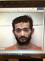 Man sentenced to five years for assault of police officer escapes while