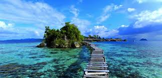 Selain kapolda beberapa pejabat pelayan publik di sulawesi tengah juga. Introducing Sulawesi Your Travel Guide Discover Your Indonesia