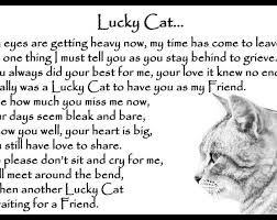 Beautiful Cat Memorial Pet Loss Bereavement Rainbow Bridge Etsy Pet Quotes Cat Losing A Pet Quotes Cat Quotes