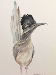 Birds Of The Southwestern Desert Roadrunner Watercolor Print By Kirsten Dill Etsy Art Painting Birdart Roadrunner Wildlife Desertanimals Desert In 2020 Desert Art Southwest Art Roadrunner Art