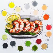 In the chest area, the body of the shrimp expands smoothly. Sketch With Markers Shrimp Steemit