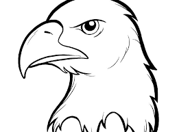 Kolase Burung Elang Dari Biji Bijian Unduh 640 Gambar Burung Elang Untuk Diwarnai Free Gambar Download 22 Contoh Hewan Karnivo Di 2020 Kolase Burung Burung Elang