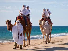 Camel safari will start after breakfast at khanderon ki dhani. Activities Tours And Cruises In Los Cabos Camels