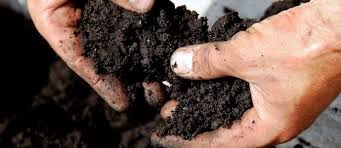 You can just pile the layers on the ground, you can build sides if you want, or you can build raised beds on legs. Lasagna Gardening Build Soil And Get Rid Of Weeds The Permaculture Research Institute