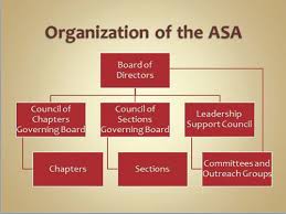 Council Of Chapters History Organization And Objectives