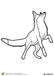 Dessin animaux realistecertainement pas mon niveau il y a des milliers de dessinateurs bien plus talentueux tout ce que je sais cest que ma courbe devolution grimpe a chacun de mes dessins. Coloriage Renard Realiste Sur Hugolescargot Com