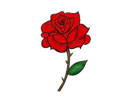 You might know how to draw flowers generally, but do you know to draw a rose? Animated Rose Easy To Draw Novocom Top
