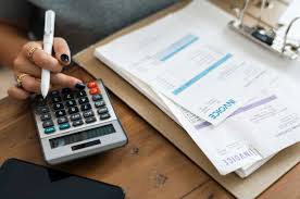 Business advisors analyze a company's business plan and financial statements to properly advise it about investments. The Role Of The Financial Manager In Preparation Of The Transfer Pricing Documentation Transfer Pricing Outsourcing And Offshoring