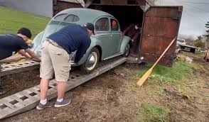Image result for Dark Blue 1950 Beetle
