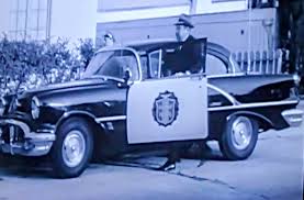 Image result for Pure White 1955 Fleet