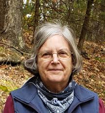 Obituary for Sue Ann (Castleman) Zitnick