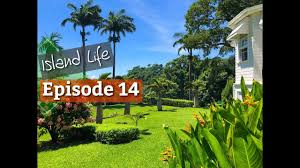 Island Life Episode 14 Sunny Side Garden Grenada Island Life Side Garden Island