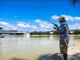 Top selangor scuba & snorkeling activities: Top 10 Fishing Spots In Malaysia Lokalocal