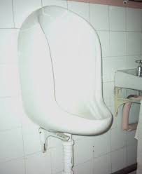 A squat toilet essentially looks like a miniature urinal set horizontally into the floor. Compost Toilets Lowimpact Orglow Impact Living Info Training Products Services