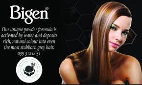 Pin On Bigen Hair Dye