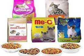 Maybe you would like to learn more about one of these? Makanan Kucing Anggora Yang Bagus Paling Disukai Kucinglovers